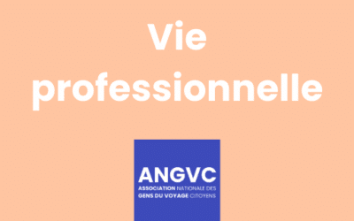 Vie professionnelle