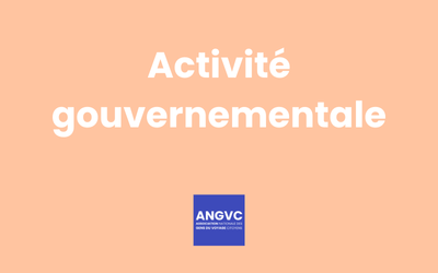 Activité gouvernementale